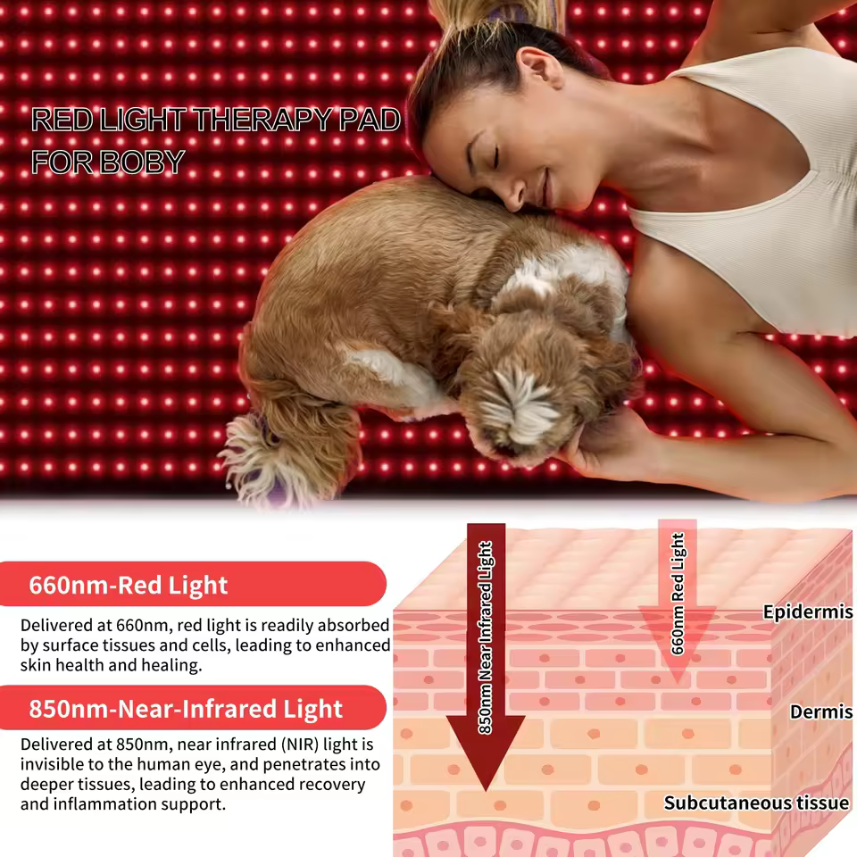 What Is Red Light Therapy Irradiance? A Complete Guide to Power Density and Dosage